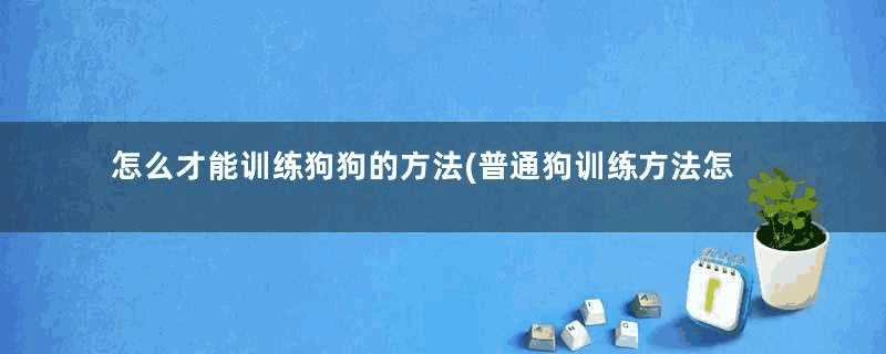 怎么才能训练狗狗的方法(普通狗训练方法怎么训练)