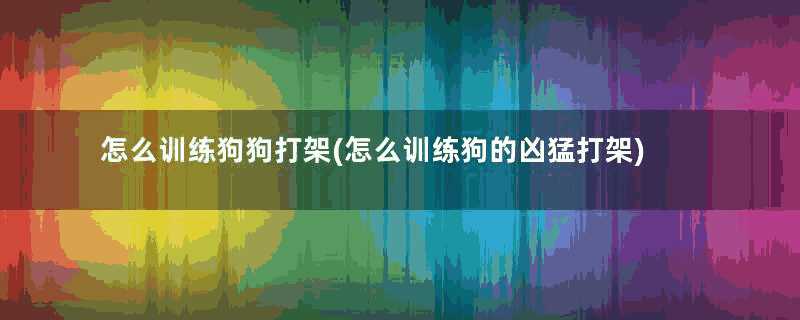 怎么训练狗狗打架(怎么训练狗的凶猛打架)