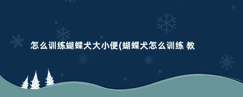 怎么训练蝴蝶犬大小便(蝴蝶犬怎么训练 教你三种训练方式)