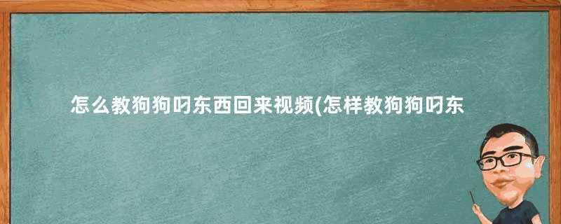 怎么教狗狗叼东西回来视频(怎样教狗狗叼东西)