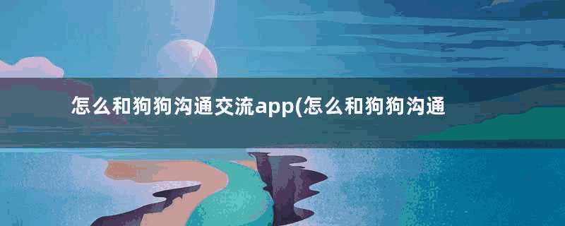 怎么和狗狗沟通交流app(怎么和狗狗沟通交流)