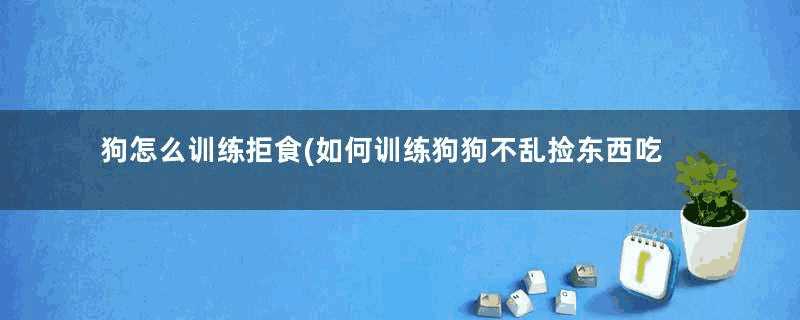 狗怎么训练拒食(如何训练狗狗不乱捡东西吃)