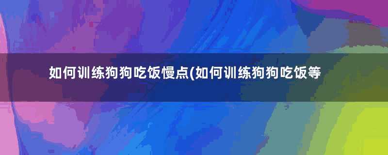 如何训练狗狗吃饭慢点(如何训练狗狗吃饭等待)