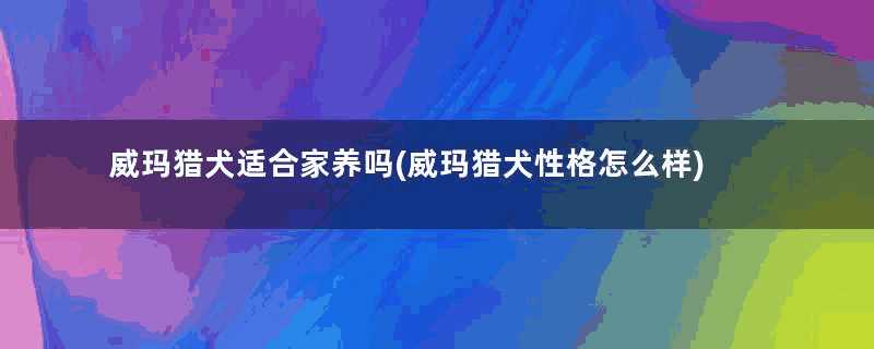 威玛猎犬适合家养吗(威玛猎犬性格怎么样)