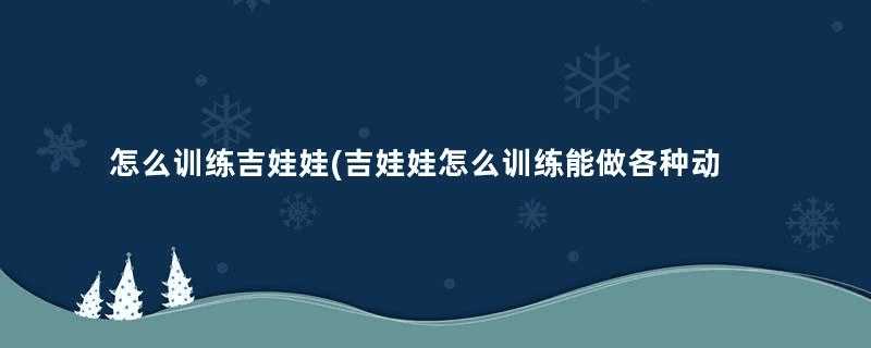 怎么训练吉娃娃(吉娃娃怎么训练能做各种动作)