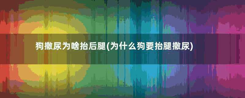 狗撒尿为啥抬后腿(为什么狗要抬腿撒尿)