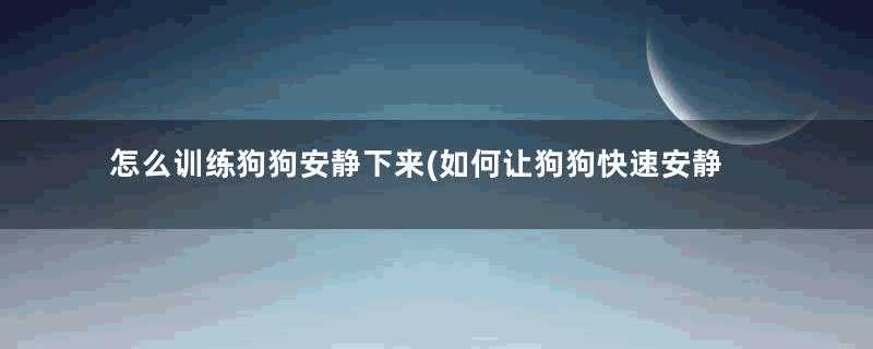 怎么训练狗狗安静下来(如何让狗狗快速安静)