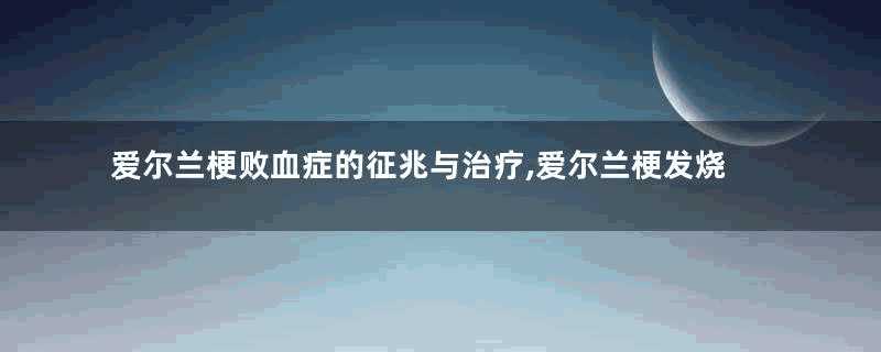 爱尔兰梗败血症的征兆与治疗,爱尔兰梗发烧怎么办