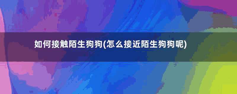 如何接触陌生狗狗(怎么接近陌生狗狗呢)