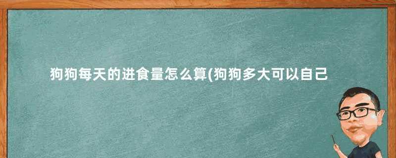 狗狗每天的进食量怎么算(狗狗多大可以自己进食)