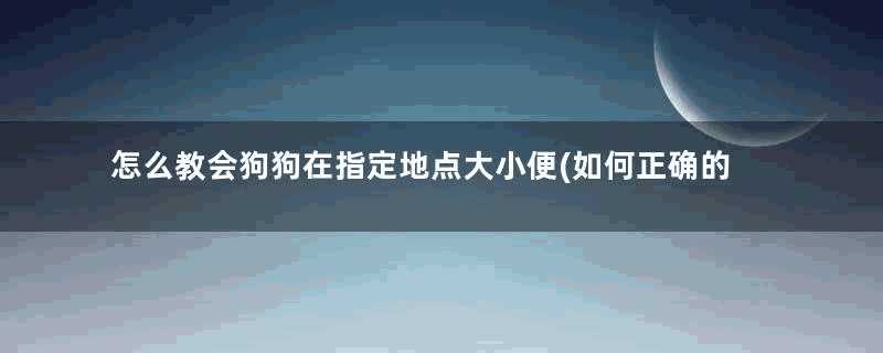 怎么教会狗狗在指定地点大小便(如何正确的训练狗狗定点大小便)