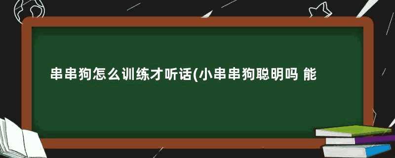 串串狗怎么训练才听话(小串串狗聪明吗 能训练出来吗)