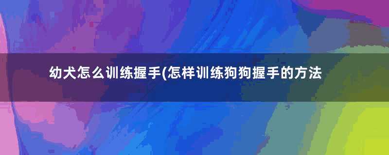 幼犬怎么训练握手(怎样训练狗狗握手的方法)