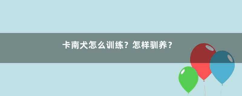 卡南犬怎么训练？怎样驯养？