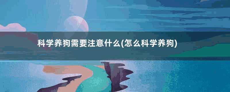 科学养狗需要注意什么(怎么科学养狗)