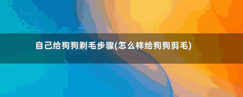 自己给狗狗剃毛步骤(怎么样给狗狗剪毛)