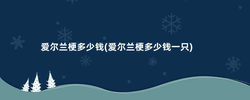 爱尔兰梗多少钱(爱尔兰梗多少钱一只)