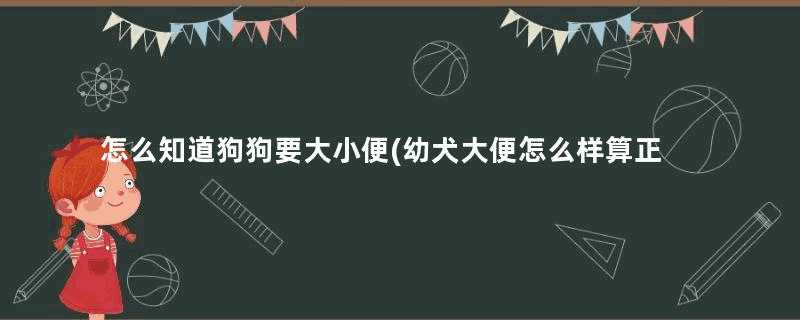 怎么知道狗狗要大小便(幼犬大便怎么样算正常)