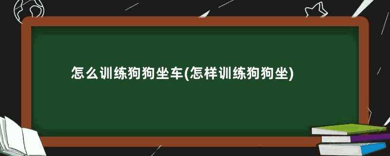 怎么训练狗狗坐车(怎样训练狗狗坐)