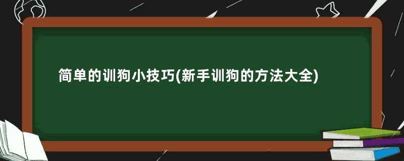 简单的训狗小技巧(新手训狗的方法大全)