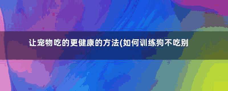 让宠物吃的更健康的方法(如何训练狗不吃别人给的食物)