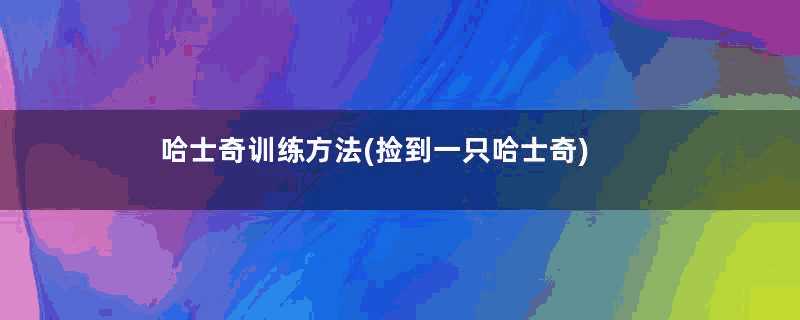 哈士奇训练方法(捡到一只哈士奇)