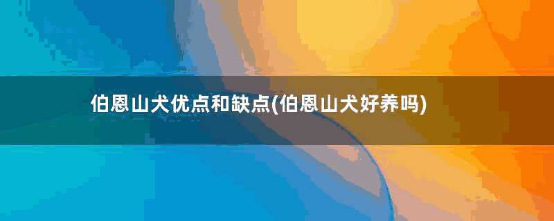 伯恩山犬优点和缺点(伯恩山犬好养吗)