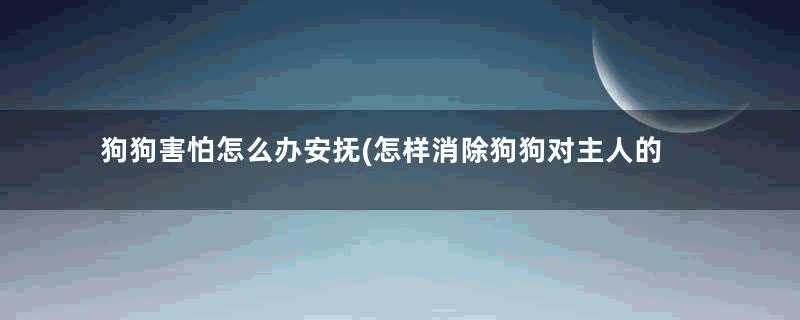 狗狗害怕怎么办安抚(怎样消除狗狗对主人的恐惧感)