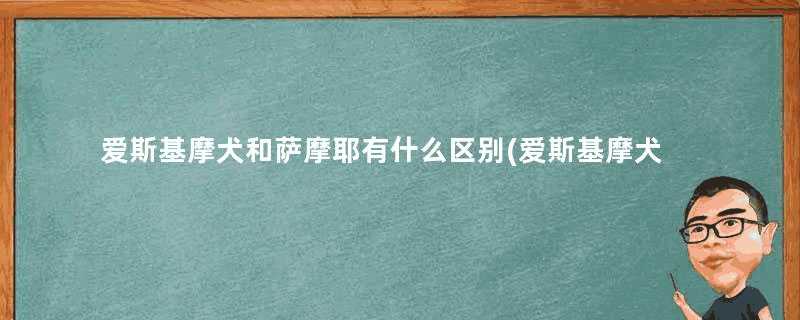 爱斯基摩犬和萨摩耶有什么区别(爱斯基摩犬是萨摩耶吗)