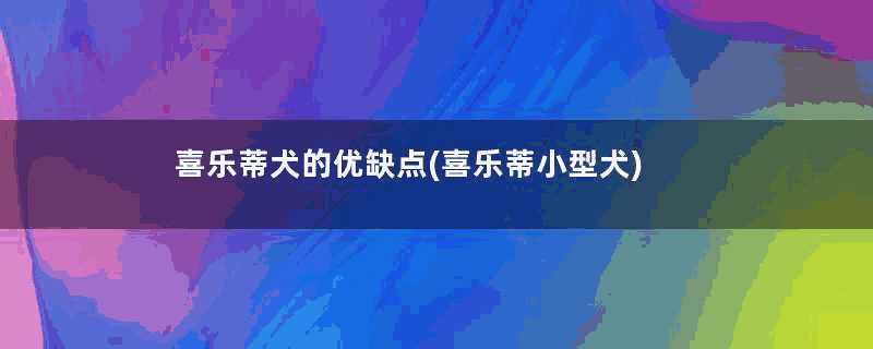 喜乐蒂犬的优缺点(喜乐蒂小型犬)