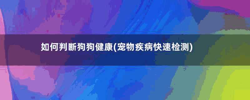 如何判断狗狗健康(宠物疾病快速检测)