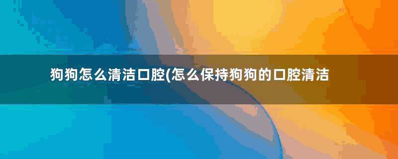 狗狗怎么清洁口腔(怎么保持狗狗的口腔清洁)