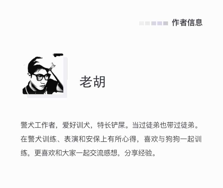 小狗训练方法与技巧(小狗怎样训练)