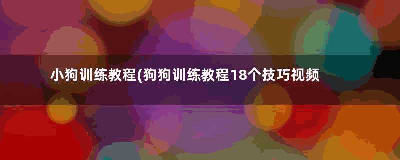 小狗训练教程(狗狗训练教程18个技巧视频)