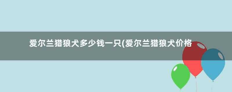 爱尔兰猎狼犬多少钱一只(爱尔兰猎狼犬价格)