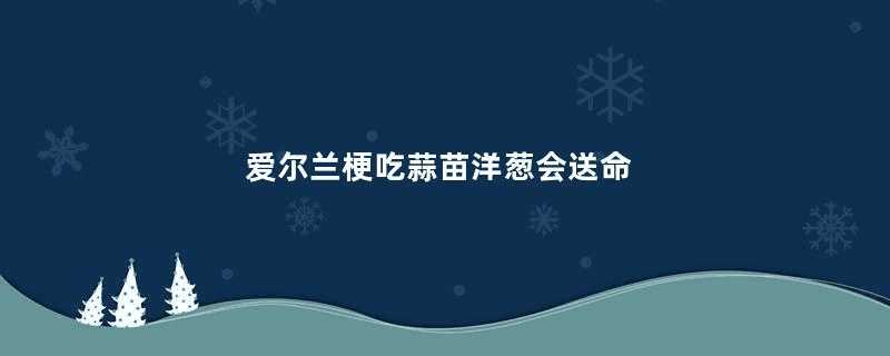 爱尔兰梗吃蒜苗洋葱会送命