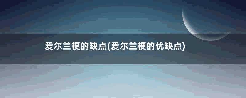 爱尔兰梗的缺点(爱尔兰梗的优缺点)