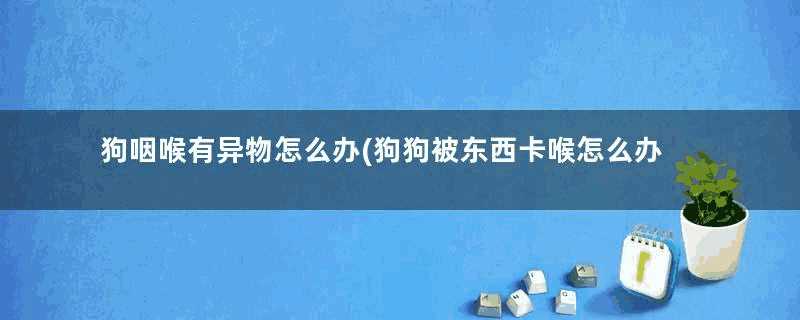 狗咽喉有异物怎么办(狗狗被东西卡喉怎么办)