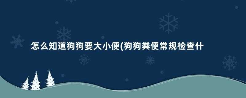 怎么知道狗狗要大小便(狗狗粪便常规检查什么)