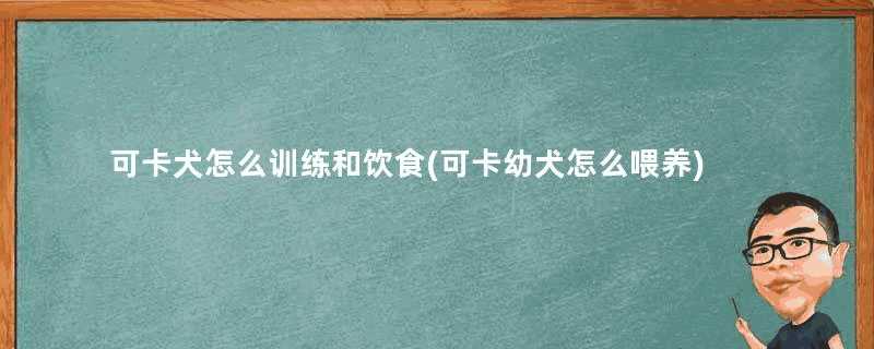 可卡犬怎么训练和饮食(可卡幼犬怎么喂养)