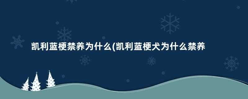 凯利蓝梗禁养为什么(凯利蓝梗犬为什么禁养)