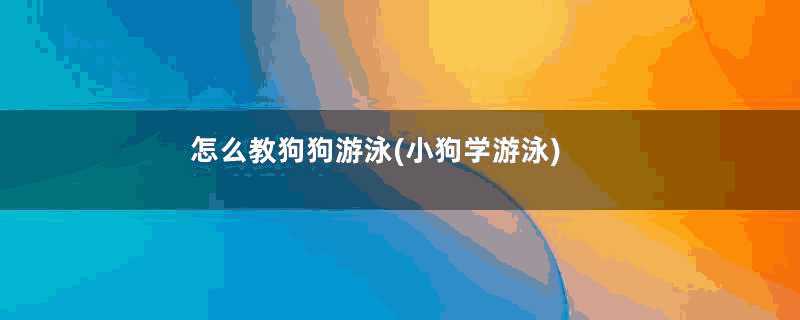 怎么教狗狗游泳(小狗学游泳)