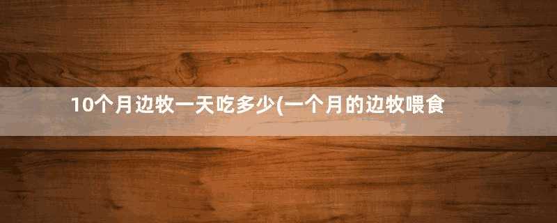 10个月边牧一天吃多少(一个月的边牧喂食标准)