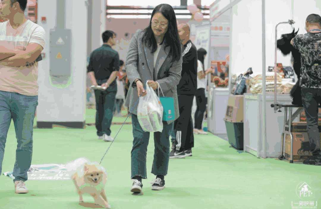 苏州宠物展(苏州宠物公园)