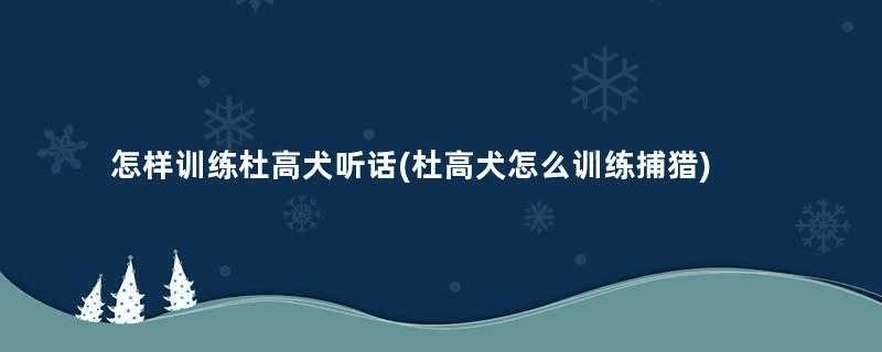 怎样训练杜高犬听话(杜高犬怎么训练捕猎)