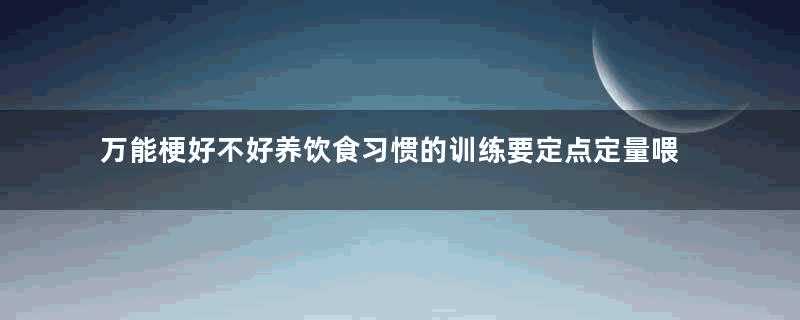 万能梗好不好养饮食习惯的训练要定点定量喂