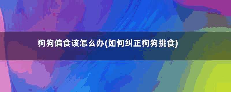 狗狗偏食该怎么办(如何纠正狗狗挑食)