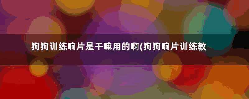 狗狗训练响片是干嘛用的啊(狗狗响片训练教程)