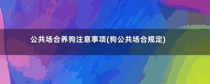 公共场合养狗注意事项(狗公共场合规定)