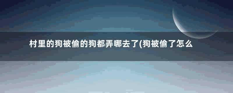 村里的狗被偷的狗都弄哪去了(狗被偷了怎么找)